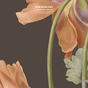 lasv_app_下载安装官网
